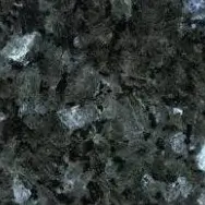 labrador